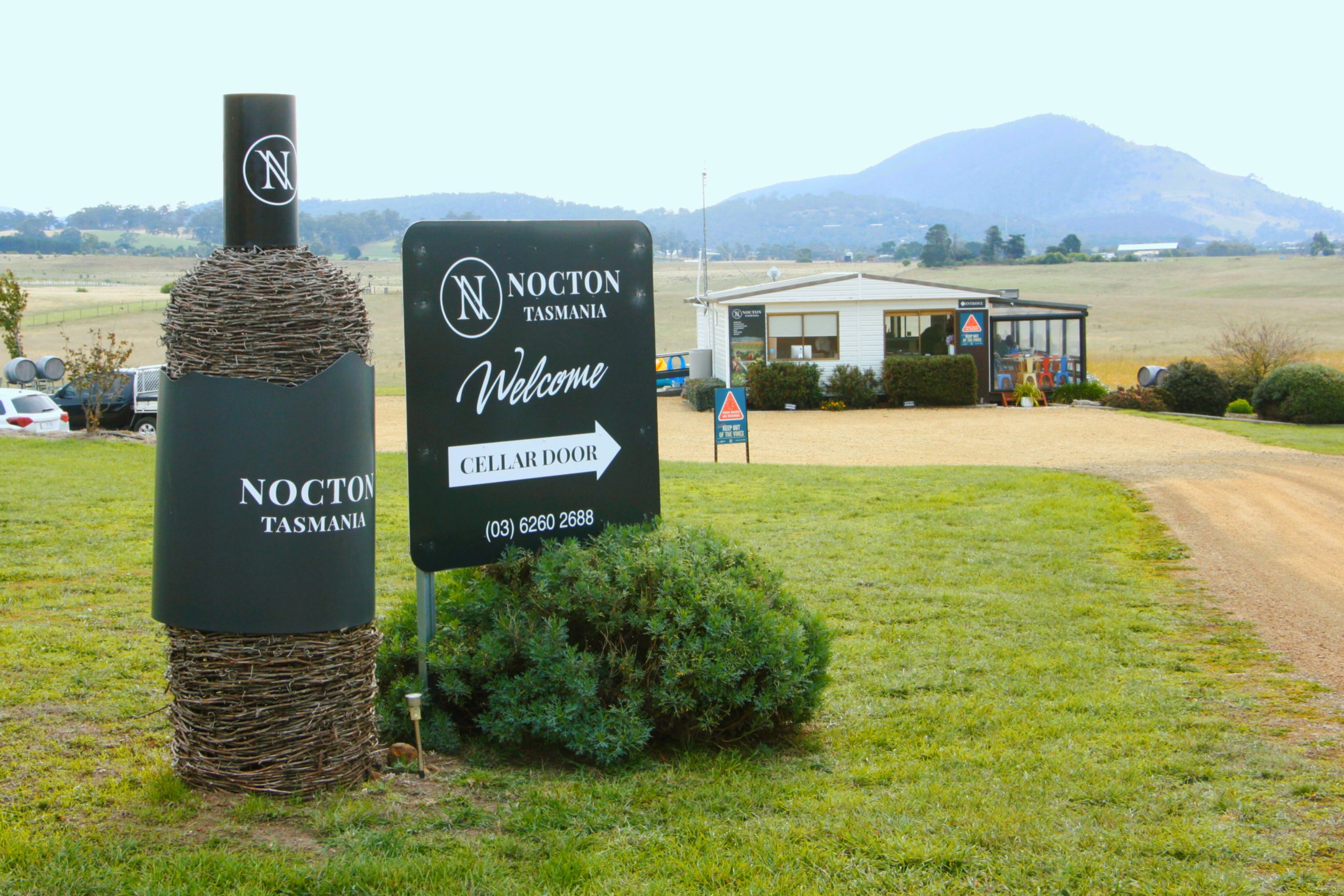 About Nocton Wines